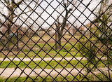 view of the landscape through an iron mesh