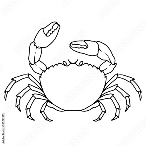 Illustration of sea crab in line style. Design element for logo, label, sign, emblem, poster. Vector illustration