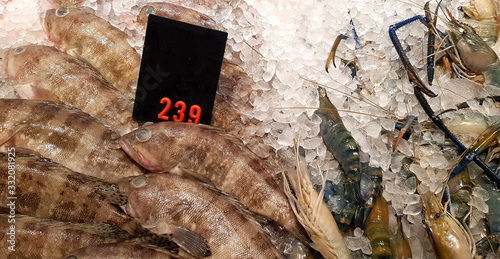 Fresh grouper and river prawn freeze on ice with price tag for sale at seafood market or supermarket photo