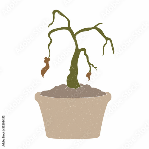 wilting plant vector design. digital hand drawn style. grain texture