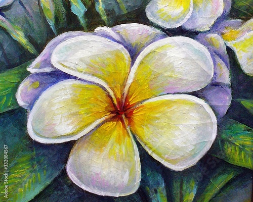 Art painting Fine art Oil color frangipani flowers , vegetation , natural beauty , wildflower , Pollen , Stamen