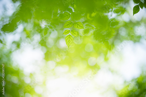 Nature of green leaf in garden at summer. Natural green leaves plants using as spring background cover page greenery environment ecology wallpaper