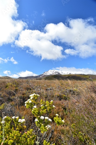 Volcano landscape in Tongariro National Park in New Zealand with a blue sky and white clouds