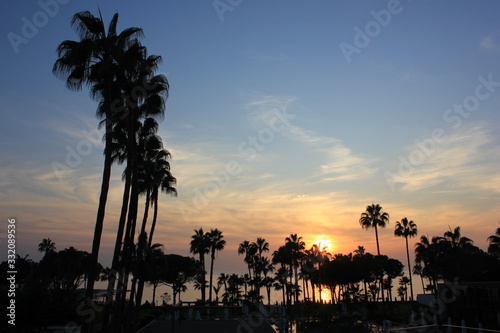 Sunset on the background of palm trees. Mediterranean Sea. SPA Holidays at sea.