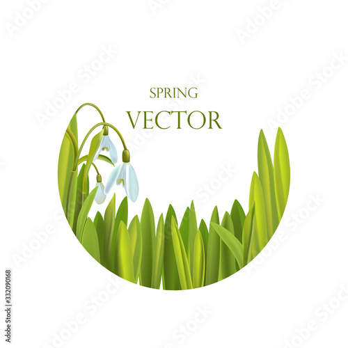 spring background with flowers and grass, vector illustration.