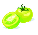 green type tomato vegetable food symbol isolated on white background