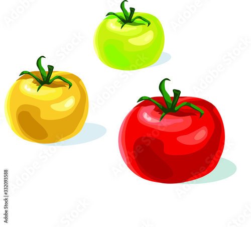 three types yellow green red tomato variety red tomato vegetable food symbol isolated on white background