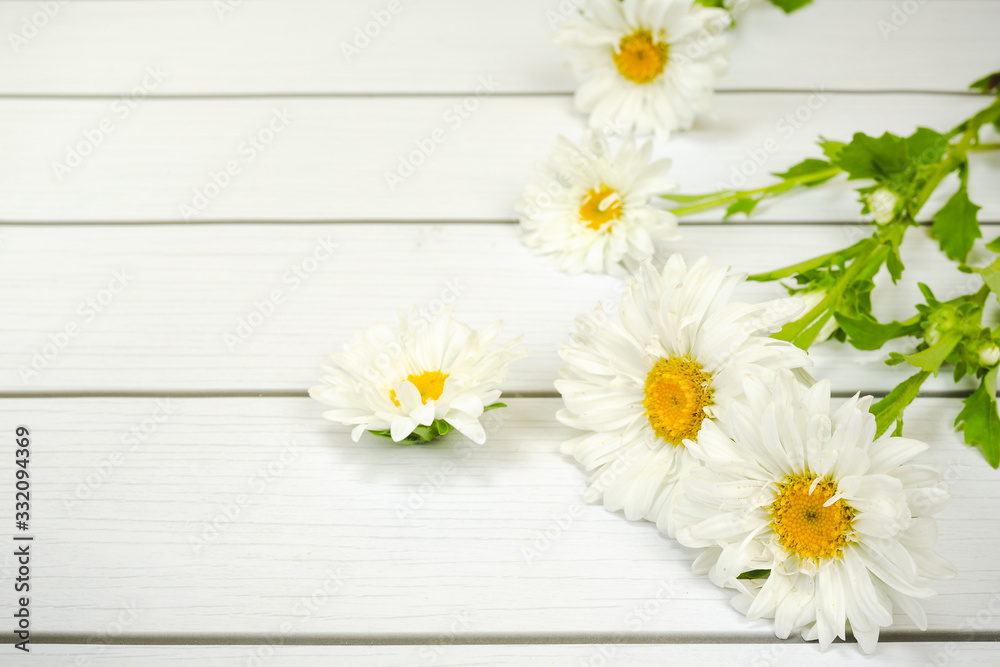 Obraz premium White daisies putting on a white wooden floor