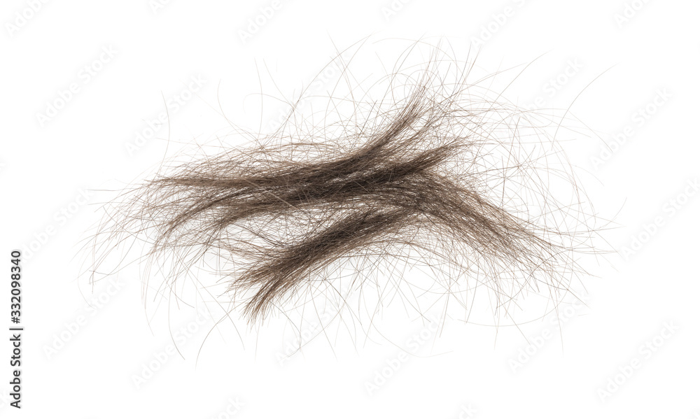 Hair bundle isolated on white background. tuft hair close-up Hair bundle isolated on white background. tuft hair close-up