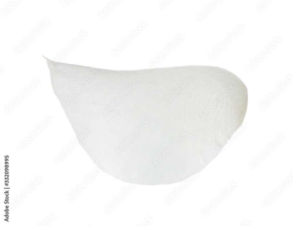 Fresh light rose petal isolated on white Fresh light rose petal isolated on white
