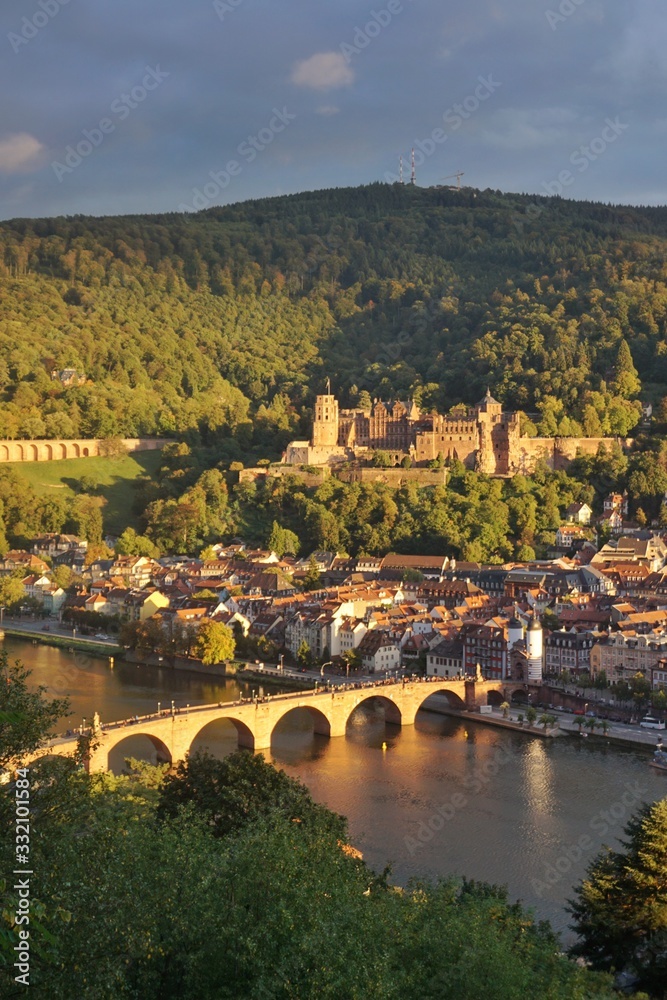 Alte Brücke in Heidelberg 