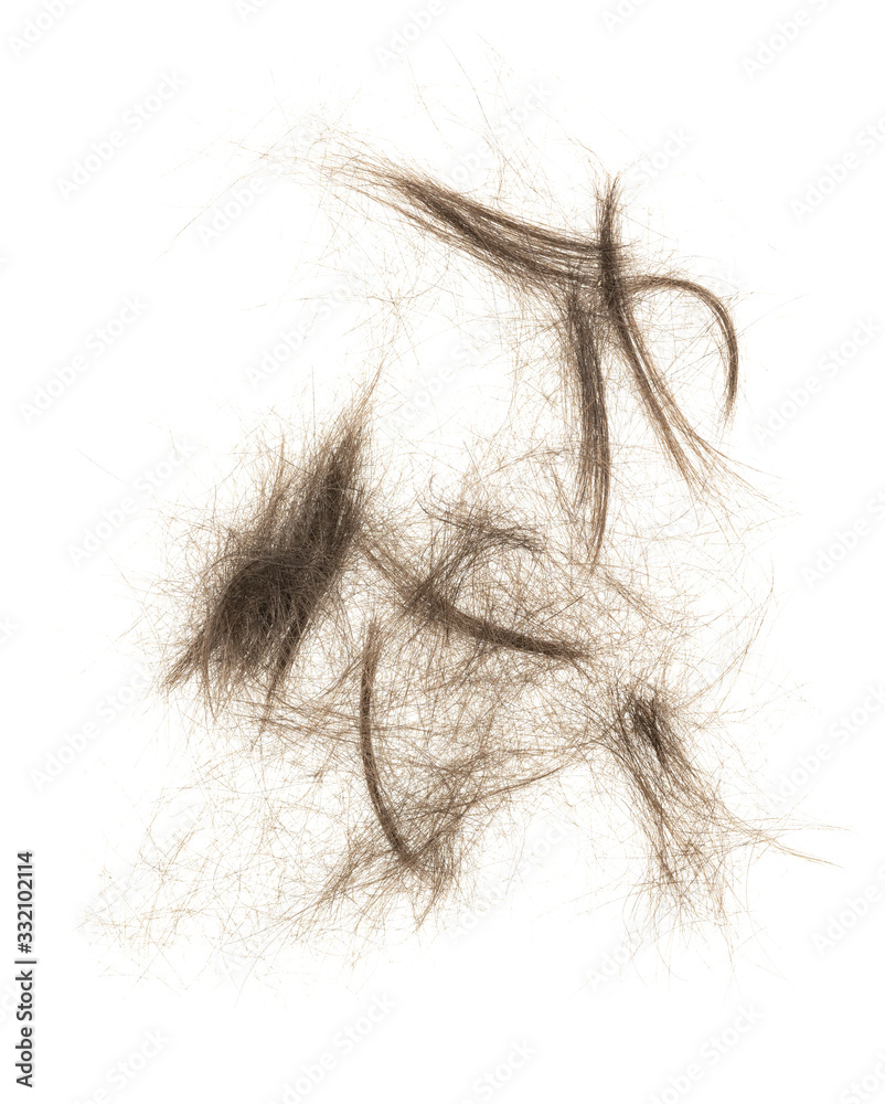 Hair bundle isolated on white background. tuft hair close-up Hair bundle isolated on white background. tuft hair close-up