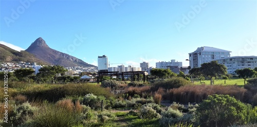Lion's Head Green Point Urban Park Cape Town
