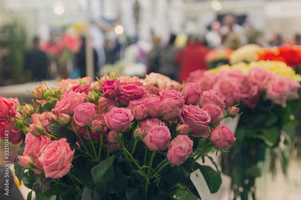 Beautiful roses on sale in the flower shop Beautiful roses on sale in the flower shop