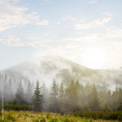 mountain valley in a dense clouds and mist, forest on a mount slope in a haze © Yuriy Kulik