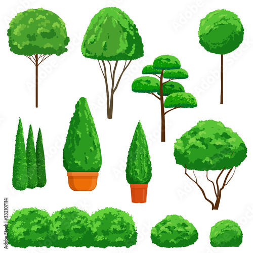 Set of ornamental shrubs and trees. Topiary trees of different forms. Vector illustration on white background