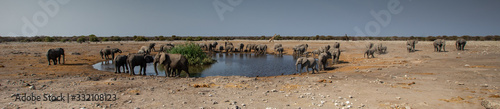 This is our waterhole