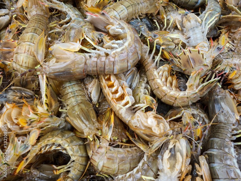 Fresh seafood is on sale in the market Fresh seafood is on sale in the market