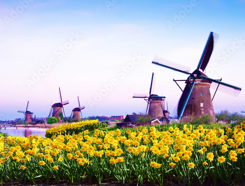 fabulous mystical, stunning magical spring landscape with daffodils on the background of a cloudy sky in Kinderdijk, Netherlands. Charming places. (Meditation, anti-stress, Harmony - concept)