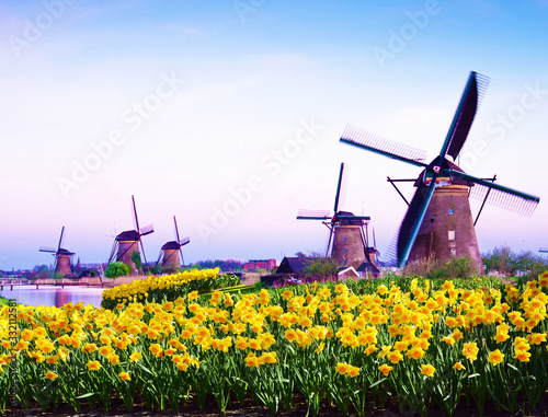 Obraz na płótnie fabulous mystical, stunning magical spring landscape with daffodils on the background of a cloudy sky in Kinderdijk, Netherlands. Charming places. (Meditation, anti-stress, Harmony - concept) w salonie