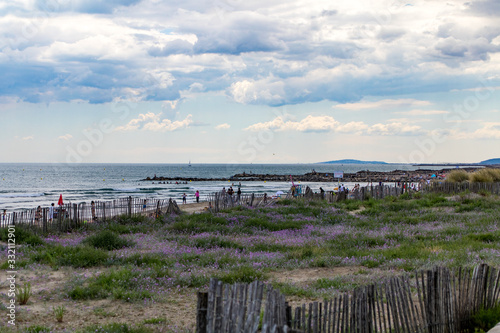 Vue sur la plage et les dunes sauvages de Carnon-Plage  Occitanie  H  rault 