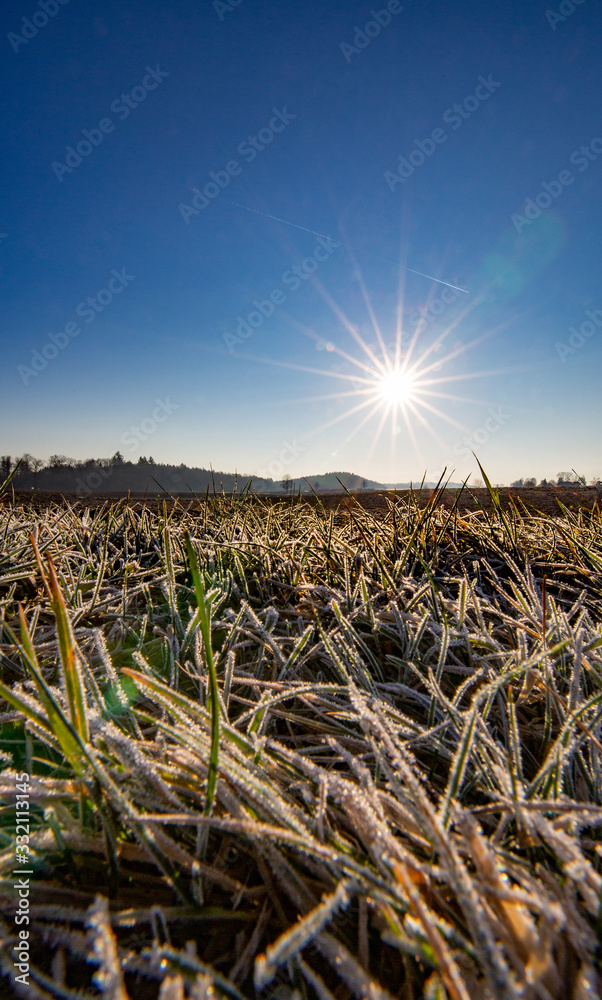 Obraz premium Acker frischer Frühlingsmorgen Bilderbuchwetter Sonnenaufgangnaufgang