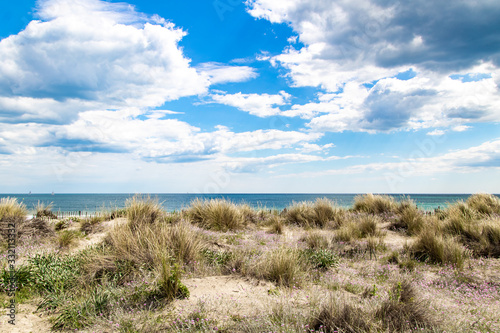 Vue sur la plage et les dunes sauvages de Carnon-Plage  Occitanie  H  rault 