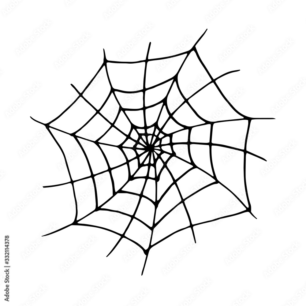 Fototapeta premium Vector illustration. Single hand drawn contour of spiderweb isolated on white background. Simple doodle clipart in a trendy minimalism style. 