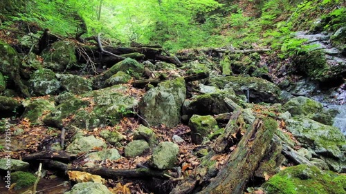 Low Angle POV Walking Over Rocks In Creek At Hudicev Graben In Slovenia photo