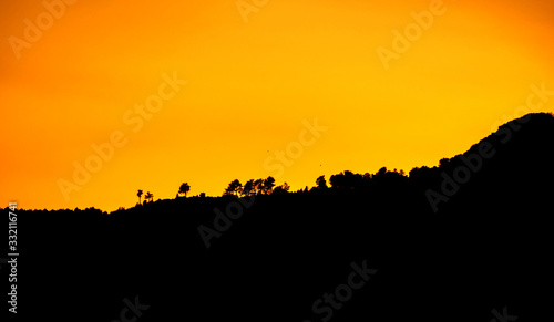 Silhouettes of trees in at sunset at the forest skyline with some clouds red orange colours © Pb