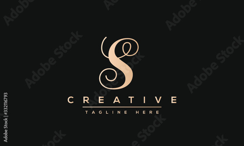Simple Elegant Letter S Logo Design. Modern minimalist S SS creative initials based vector icon template.