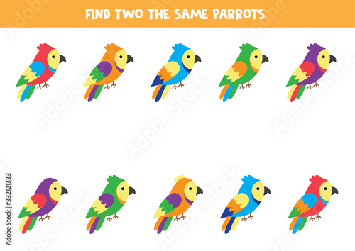 Find two identical colorful parrots. Educational game for kids.