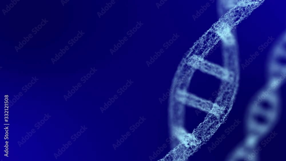 Human DNA on a blue background. DNA in the style of the plexus. Rotation of the model. The study of heredity. Destruction of DNA. Looped footage of the Intro video.4K.