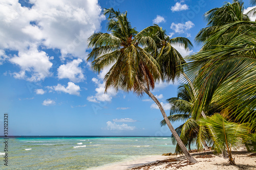 Fototapeta Naklejka Na Ścianę i Meble -  Looking along an idyllic Barbados beach