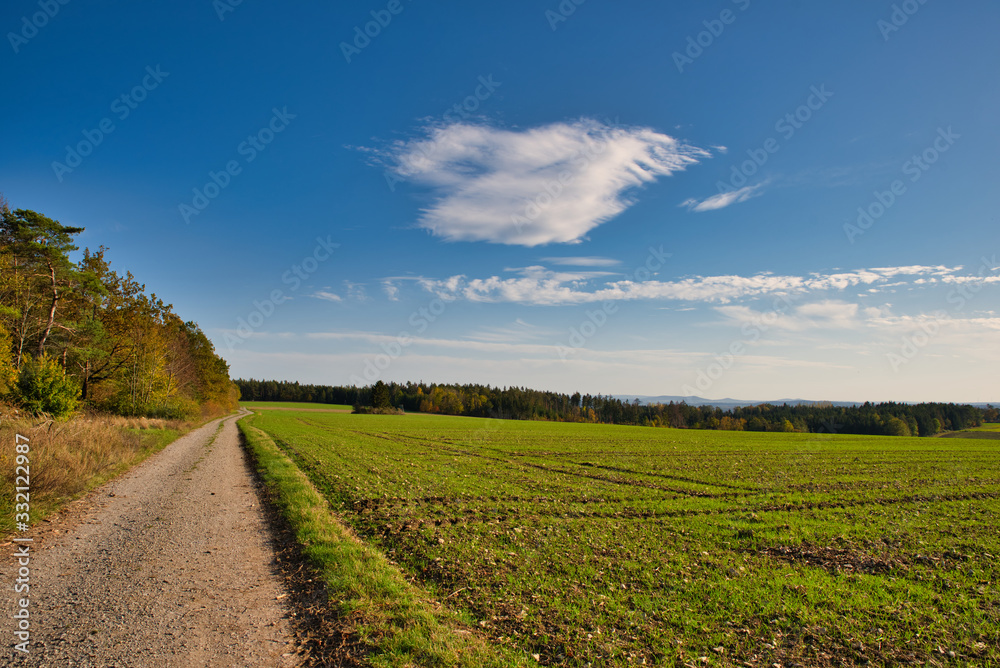 country raod with fields and forest in the autumn