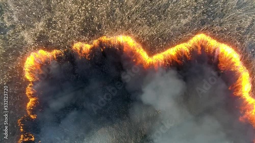 Dry grass burning. Climate change and ecology