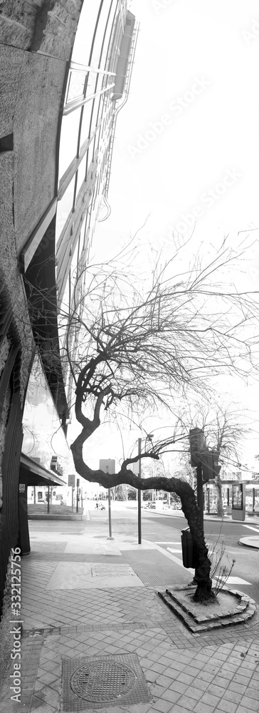 Plakat life makes its way, allegorical photograph of a tree changing the direction of the branches due to the presence of a building, suitable at a time of worldwide emergency for covid-19, coronavirus.