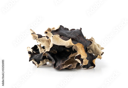 Dry Black Fungus, Tree Ear or Wood Ear Mushroom Isolated