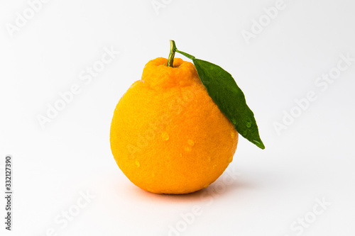 Fresh orange Hallabong on a white background. One fruit seen from the front. (Korea, Jeju Island specialties)