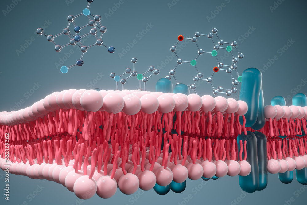 Cell membrane and biology, biological concept, 3d rendering. Stock