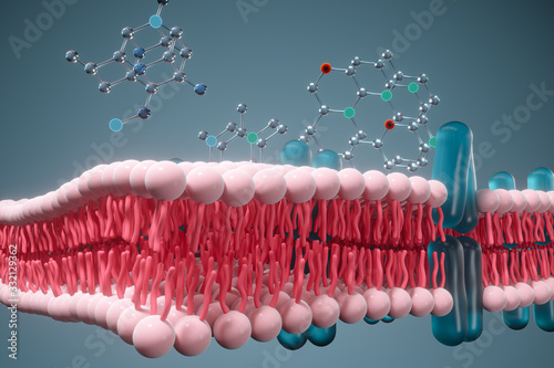 Cell membrane and biology, biological concept, 3d rendering. photo