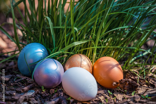 colorful Easter eggs hidden in the grass with flowers