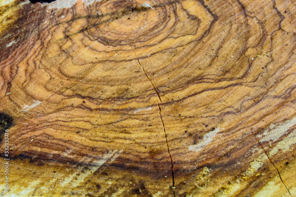 Naklejka premium texture