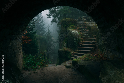 Fototapeta Naklejka Na Ścianę i Meble -  End of a tunnel leading to a Dark Mystical stairs in mysterious forest covered in fog or mist with magic horror atmoshpere