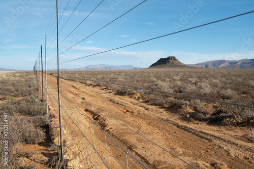 tracks in desert