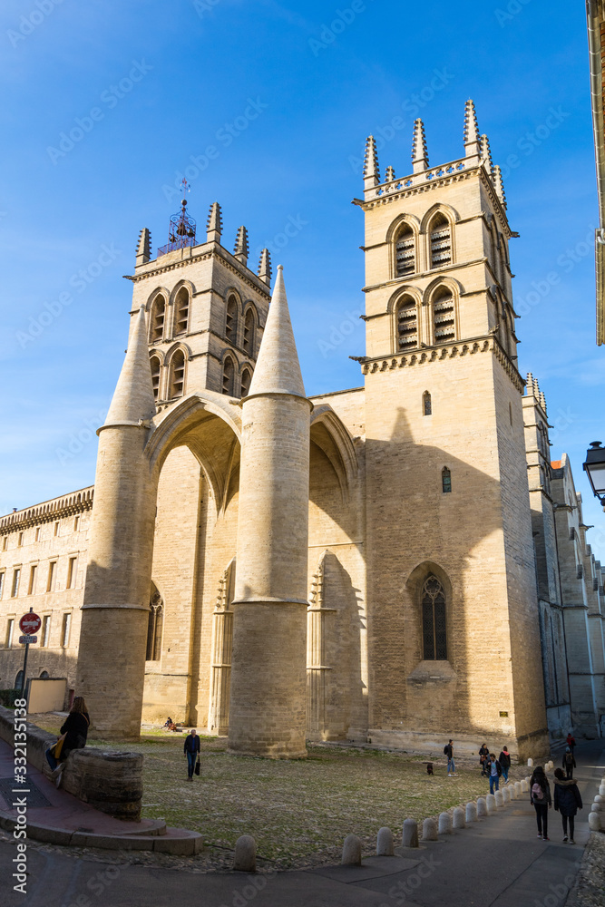 Façade de la Cathédrale Saint-Pierre de Montpellier (Occitanie, France)