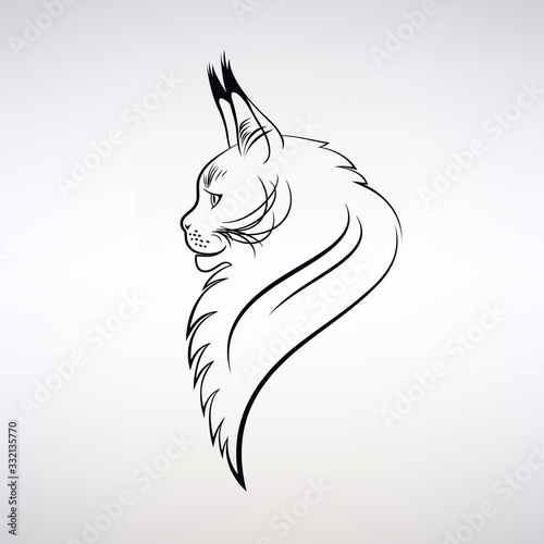 Portrait of the Cat's Head in Profile