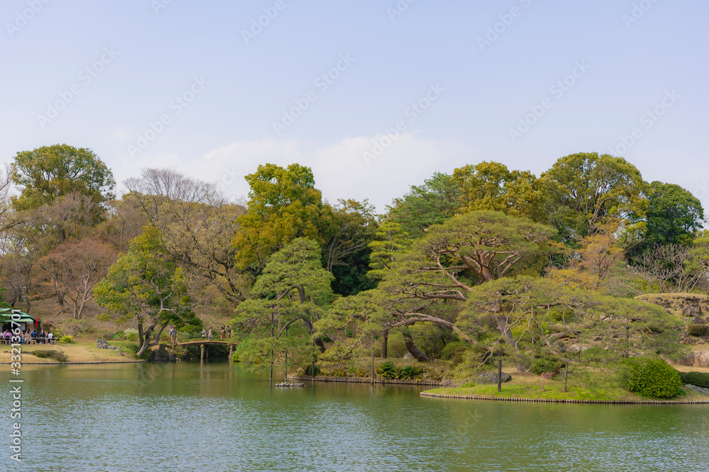 東京都文京区駒込の日本庭園の風景