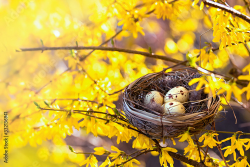 Photography Congratulations on Easter