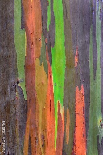 Photography Closeup shot of a painted colorful wooden surface - great for an artsy backgroun